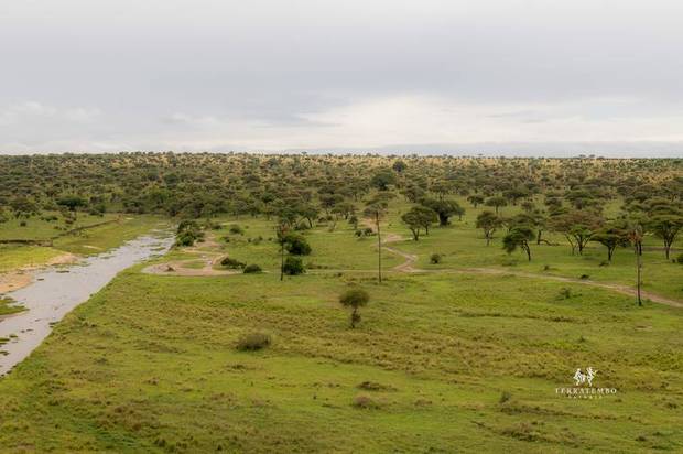 Endless plains