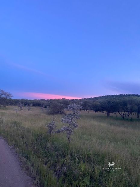 Sunset over the plains