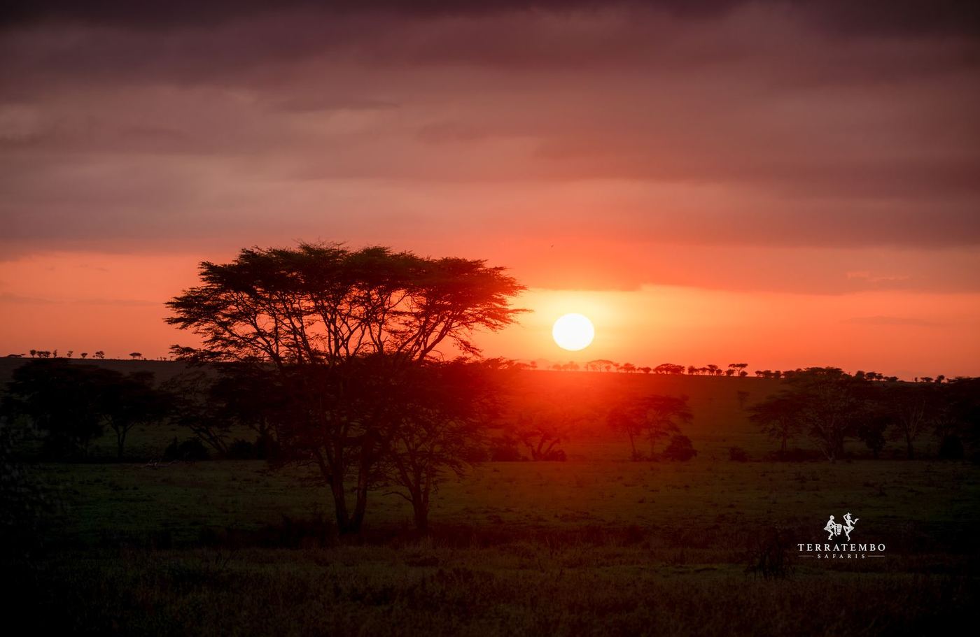 Morning safari & fly to Dar es Salaam